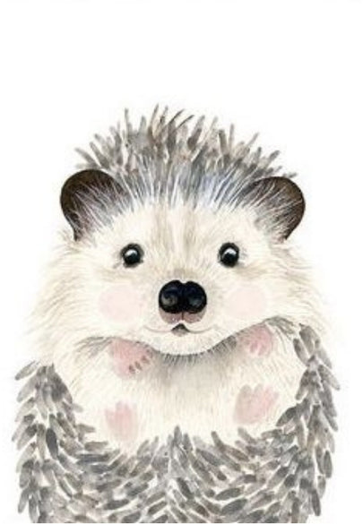 Fluffy Hedgehog Greeting Card