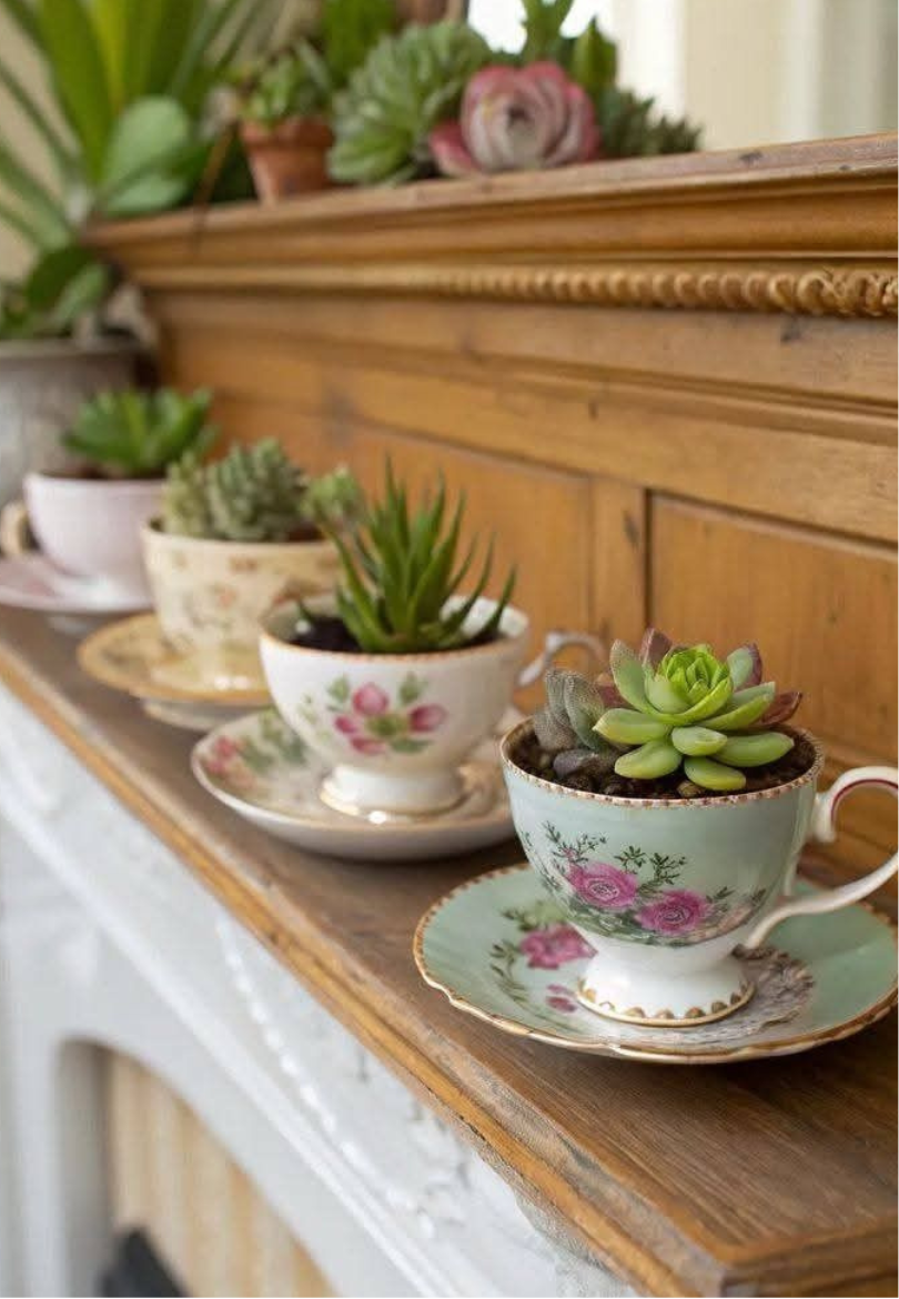Teacup Succulent Garden Greeting Card