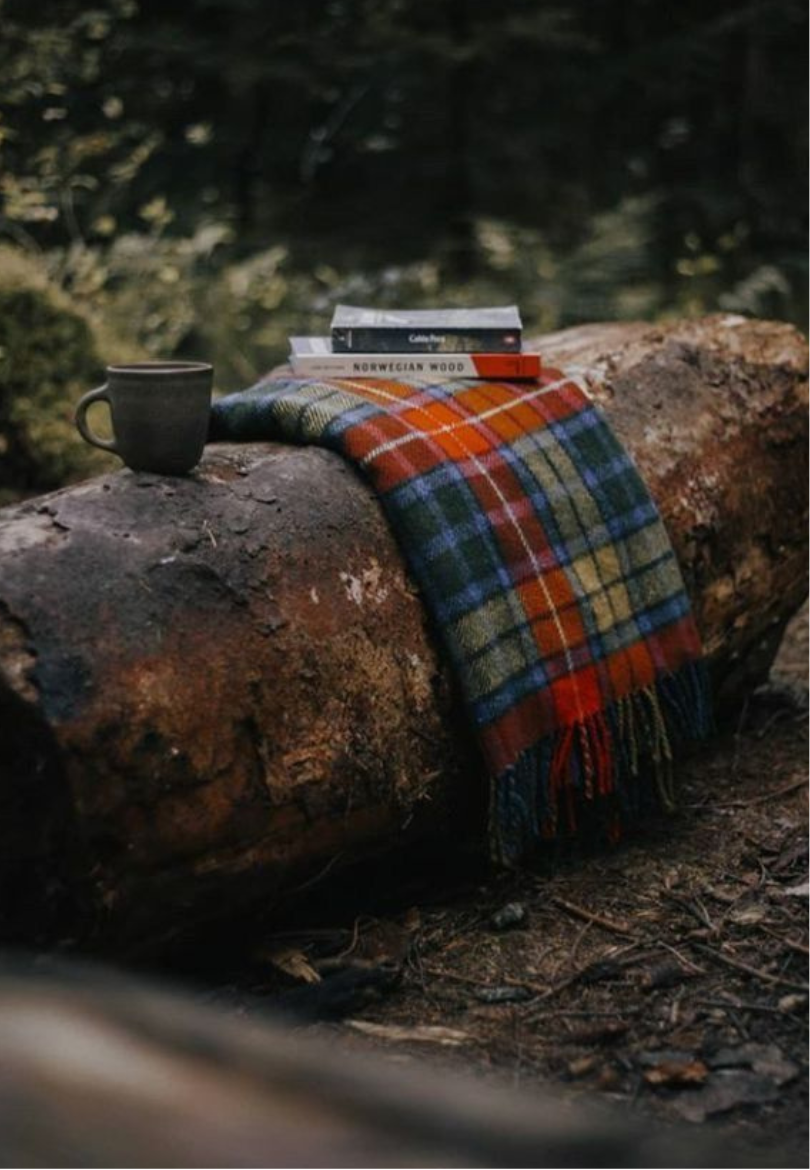 Forest Retreat Greeting Card