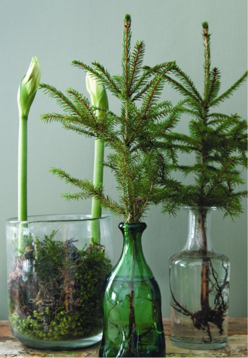 Festive Pine Branches & Vintage Glass Bottles Greeting Card