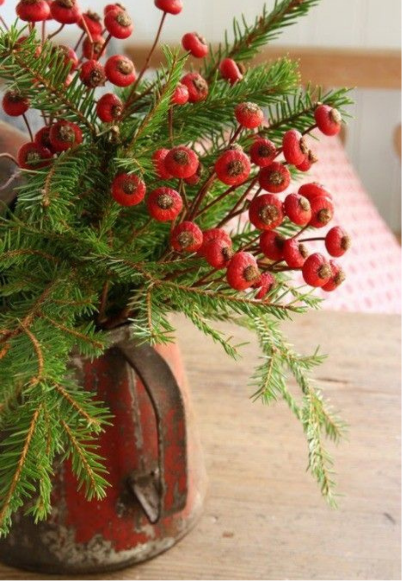 Rustic Red Berries Greeting Card