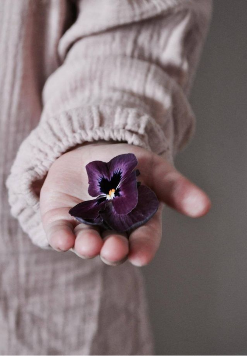Tiny Hand Holding a Purple Wildflower Greeting Card