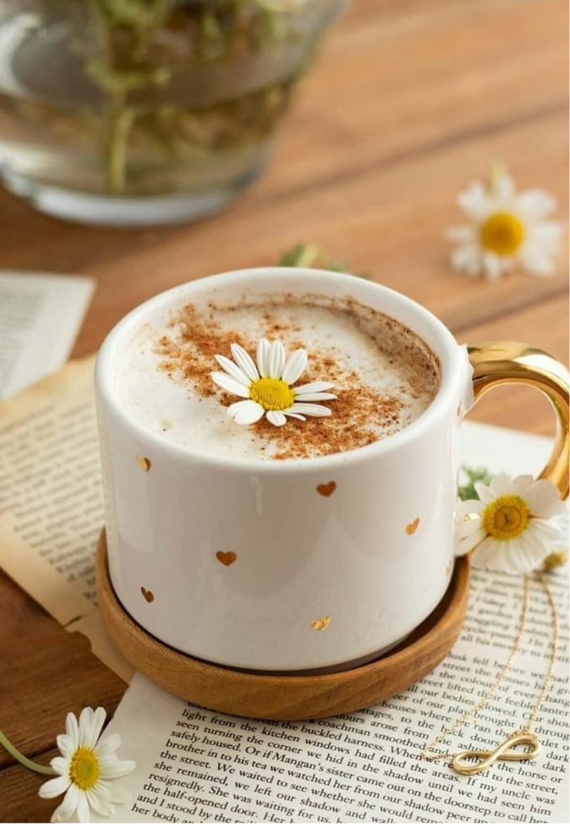 Tea & Book Greeting Card
