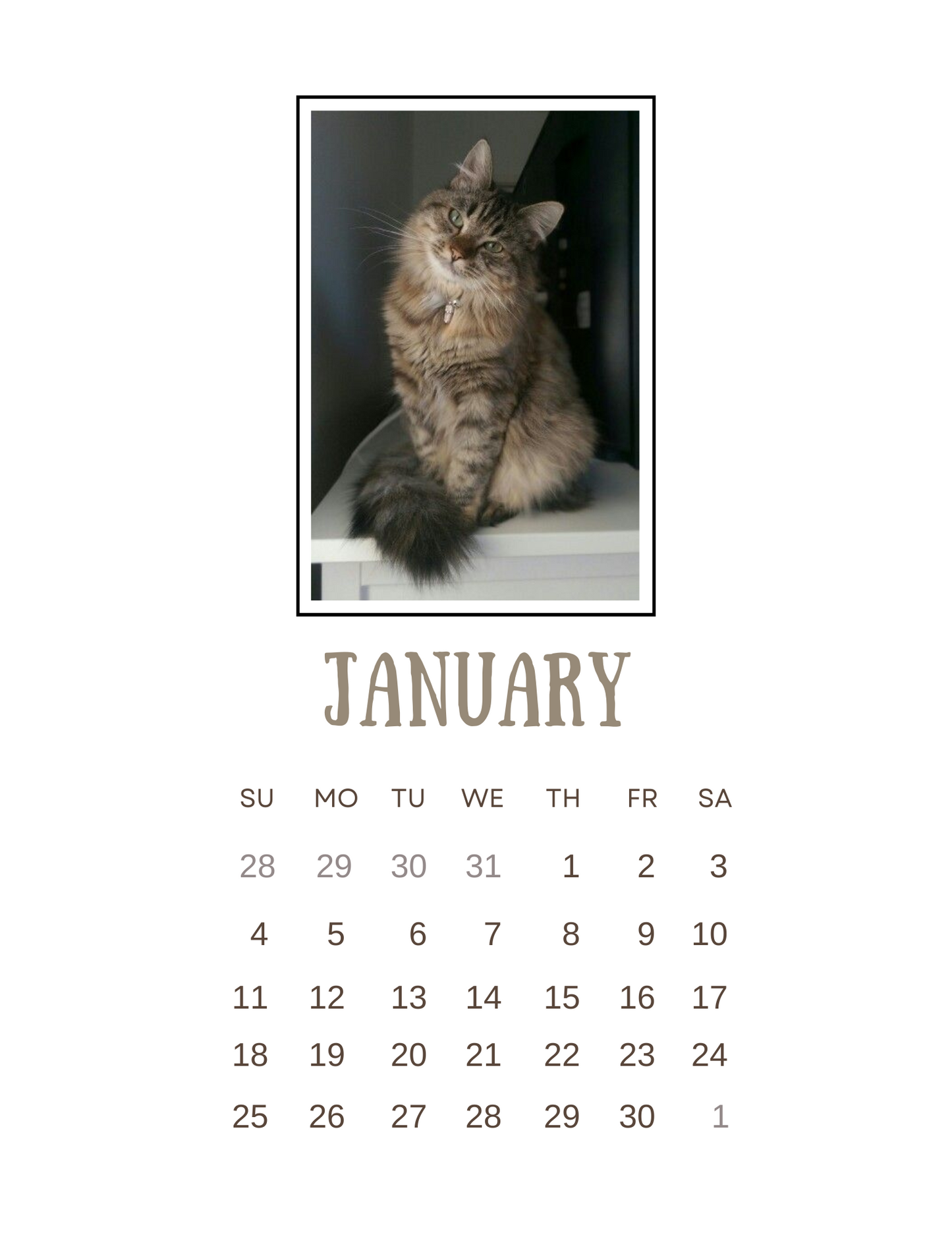 2026 Clipboard Calendar - Paws & Whiskers