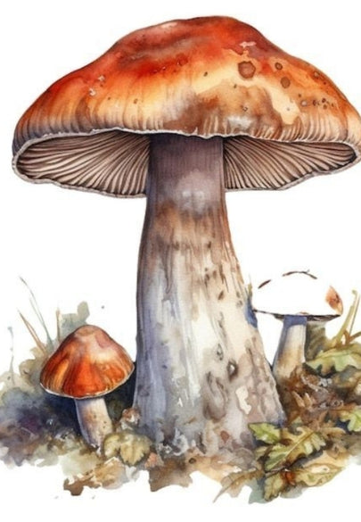 Giant Wild Mushroom Greeting Card