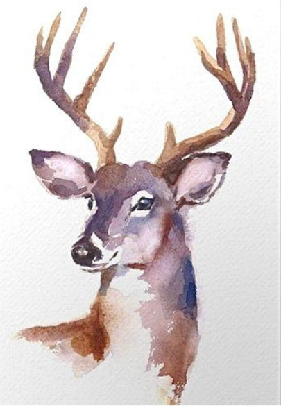 Deer Portrait Greeting Card