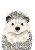 Fluffy Hedgehog Greeting Card