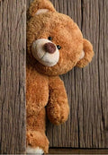 Teddy Bear Greeting Card