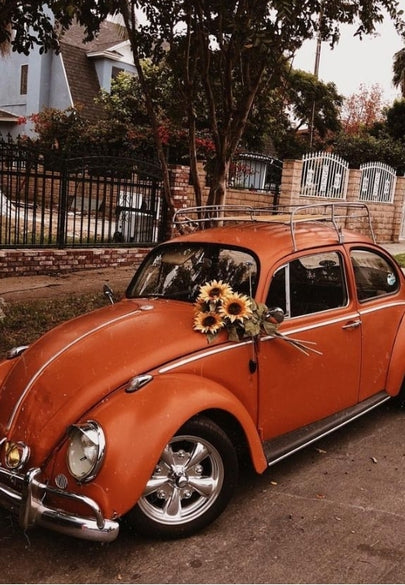 Classic Orange VW Beetle Greeting Card