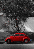 Red Beetle Greeting Card