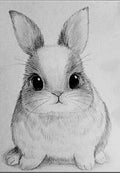 Bunny Sketch Greeting Card