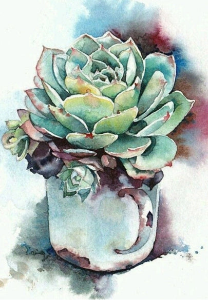 Blue-Green Succulent in Rustic Pot Watercolor Greeting Card