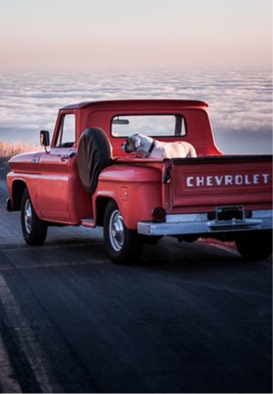 Red Pickup Truck on a Coastal Drive Greeting Card