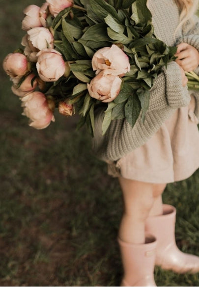 Rustic Soft Pink Roses Greeting Card