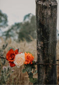 Wild Roses on a Barbed Wire Fence Greeting Card