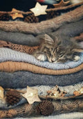 Sleeping Kitten Curled up in Cozy Blankets Greeting Card