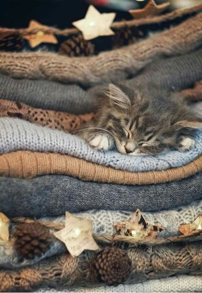 Sleeping Kitten Curled up in Cozy Blankets Greeting Card