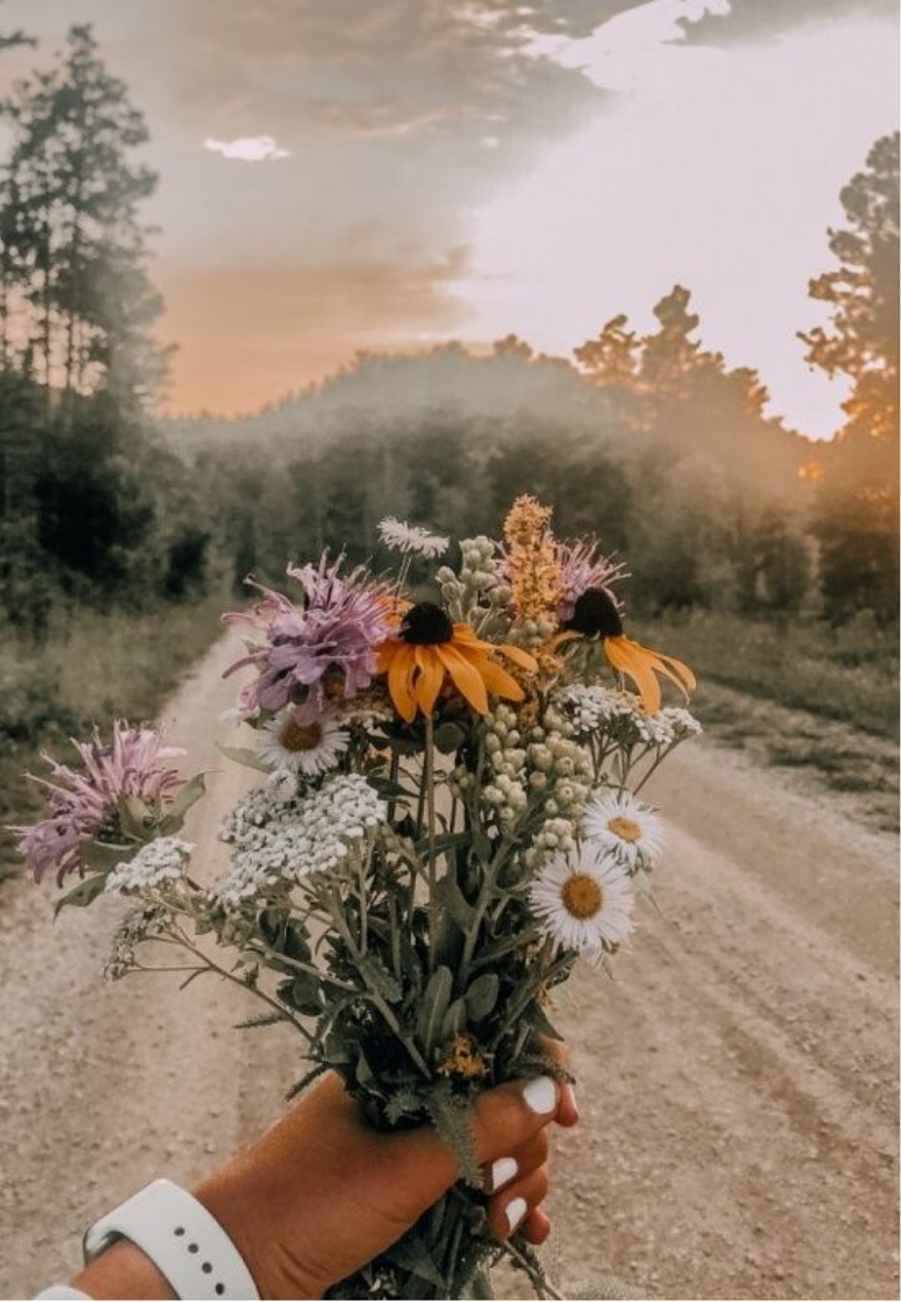 Handpicked Wildflowers on a Country Road Greeting Card
