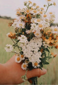 Hand Holding Wildflowers Greeting Card