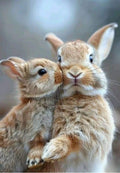 Bunny Love Greeting Card