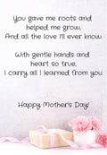 Mother's Day Poem Greeting Card