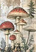 Vintage Mushroom Illustration Greeting Card