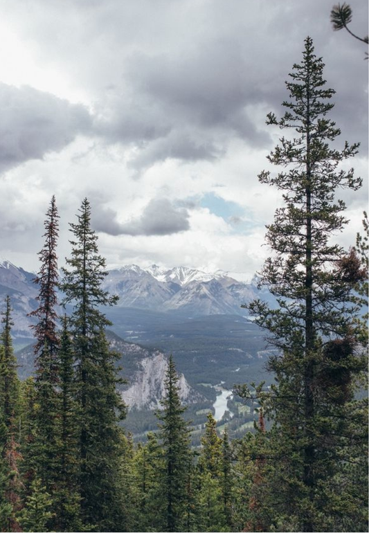 Rocky Mountain View Greeting Card
