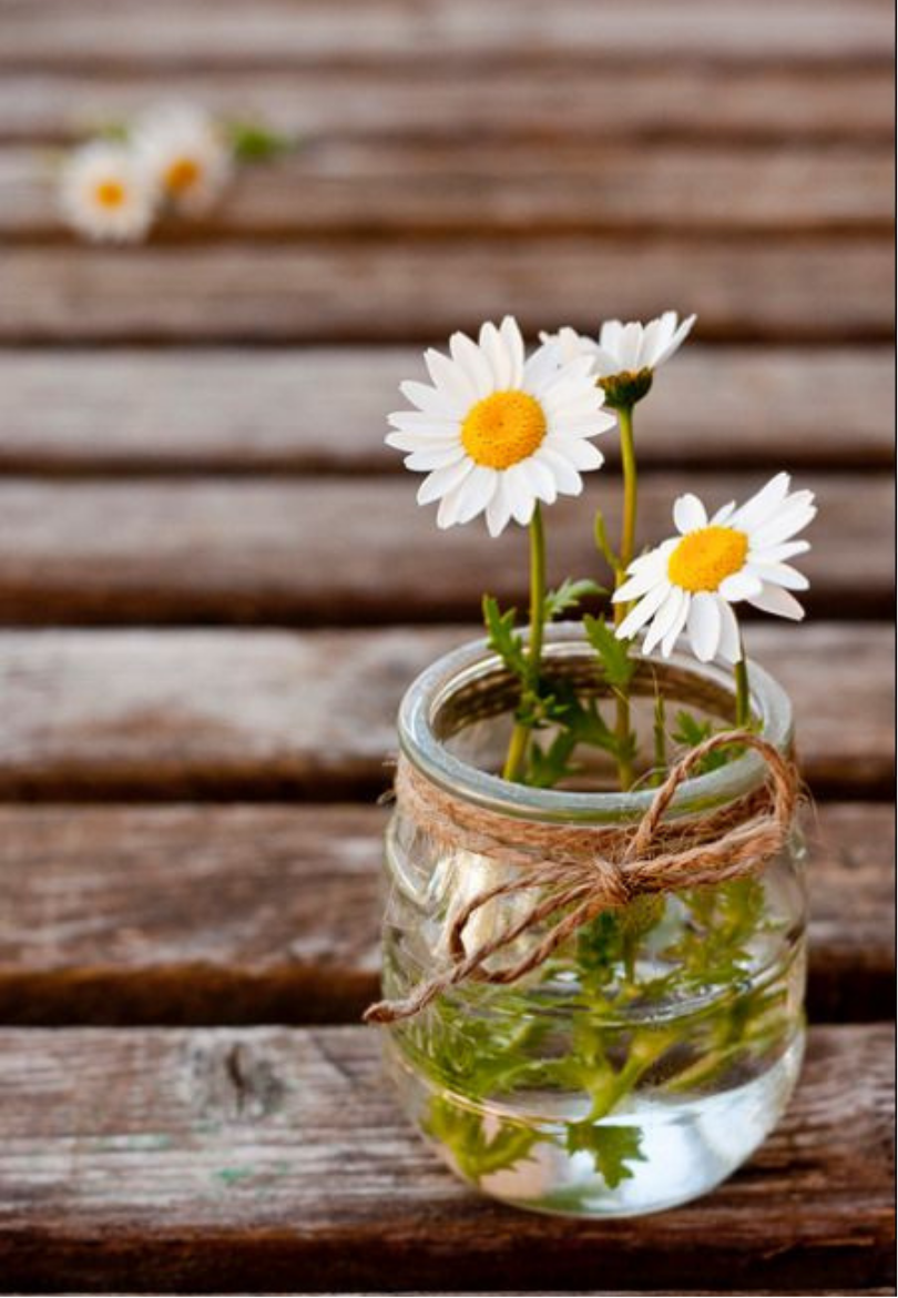 Jar of Daisies on a Rustic Wooden Table Greeting Card
