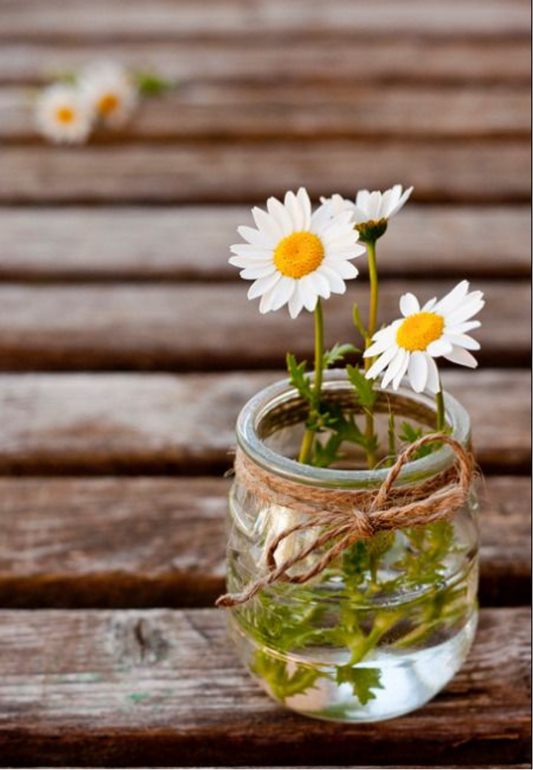 Jar of Daisies on a Rustic Wooden Table Greeting Card