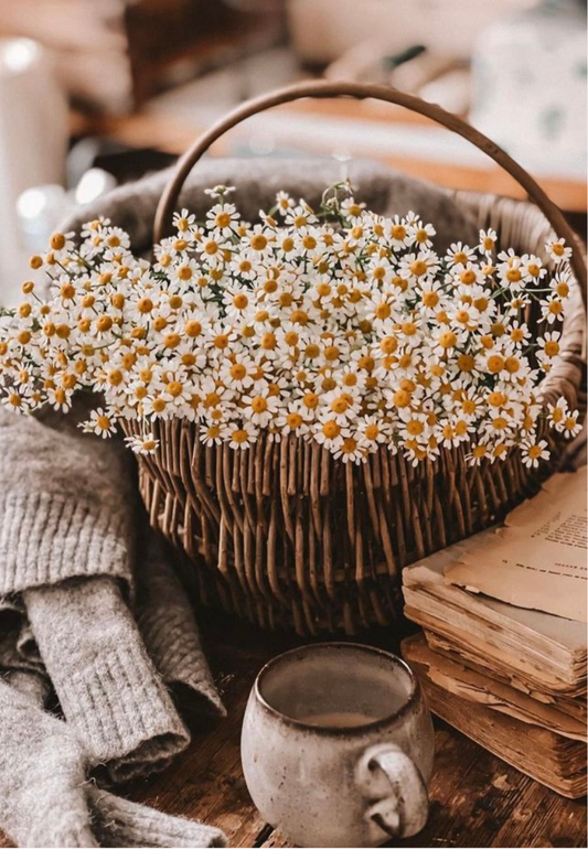 Dried Flowers in a Wicker Basket Greeting Card