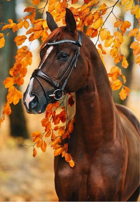 Chestnut Horse With Autumn Leaves Greeting Card