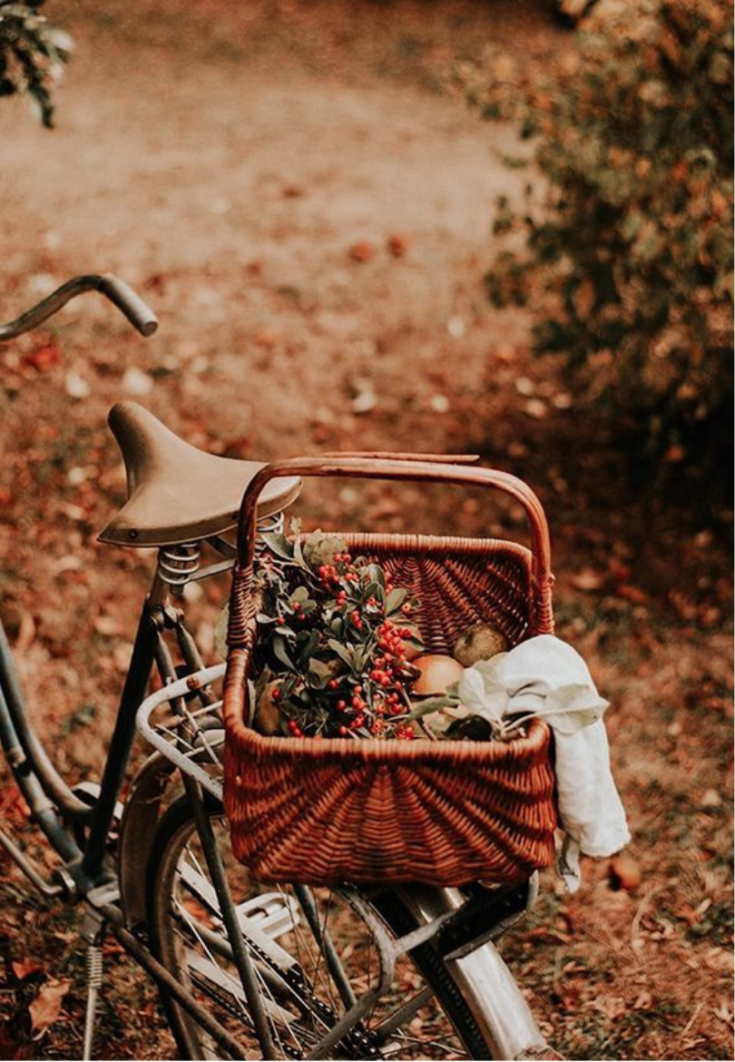 Vintage Bicycle with a Picnic Basket Greeting Card