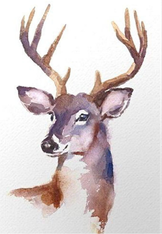 Deer Portrait Greeting Card