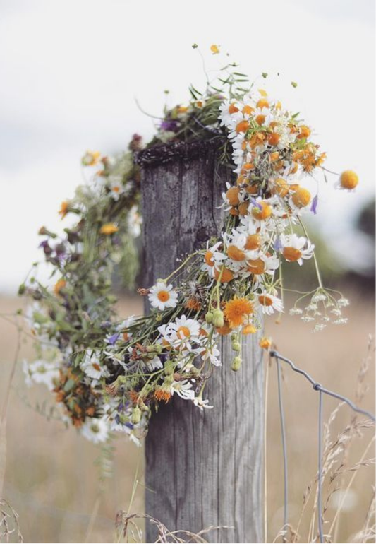 Wildflowers on a Rustic Wooden Fence Post Greeting Card