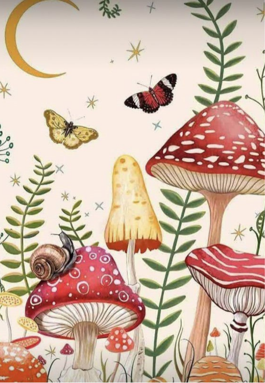 Whimsical Mushrooms Greeting Card