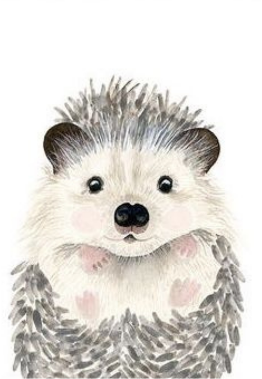 Fluffy Hedgehog Greeting Card