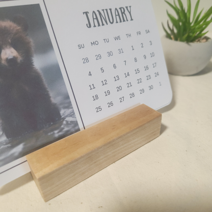 2026 Desk Calendar - Birch - Little Joys