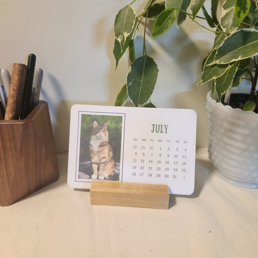 2026 Desk Calendar - Birch - Paws & Whiskers