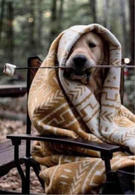 Cute Dog Wrapped in a Blanket Greeting Card