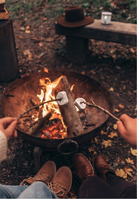Campfire with Friends Roasting Marshmallows Greeting Card