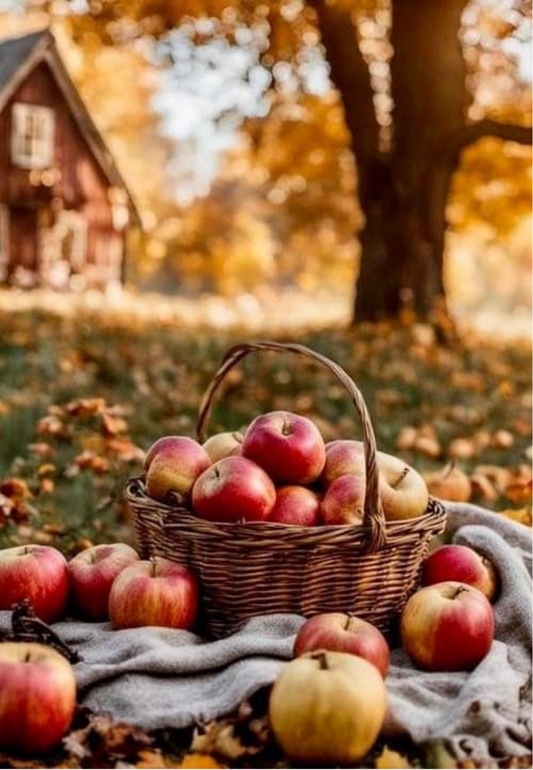 Autumn Apple Basket Picnic in the Orchard Greeting Card