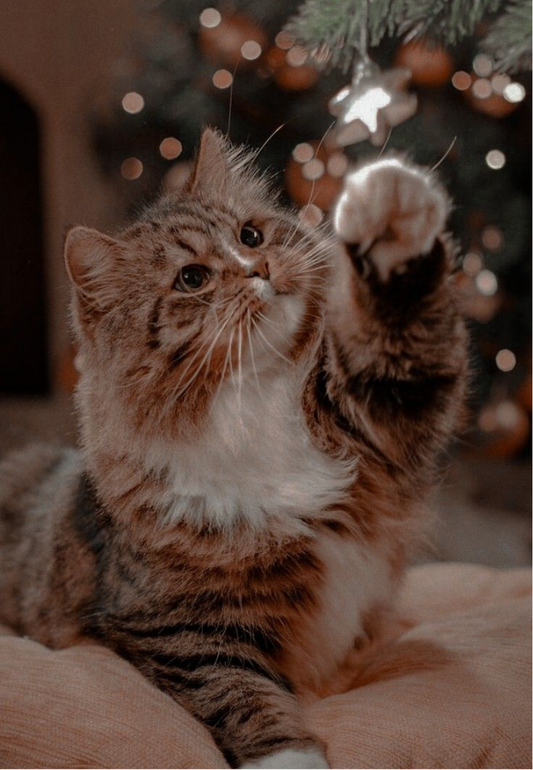 Playful Kitten with Christmas Lights Greeting Card