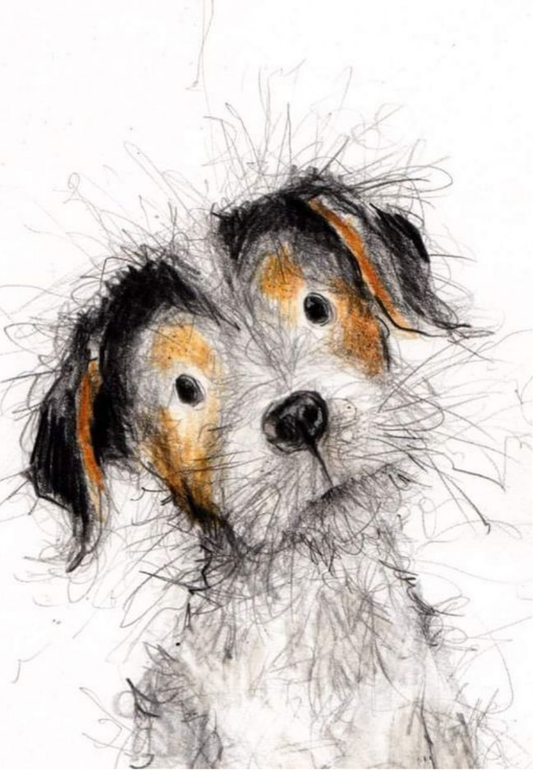 Playful Dog Sketch Greeting Card