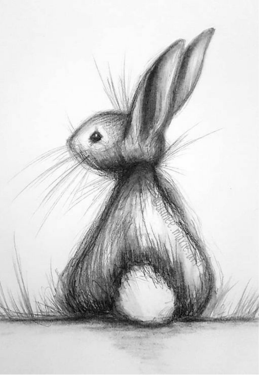 Rabbit Sketch Greeting Card