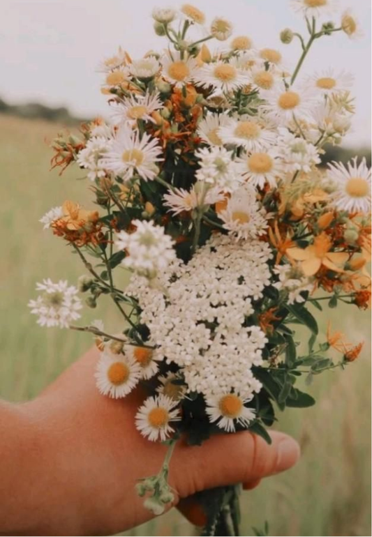 Hand Holding Wildflowers Greeting Card
