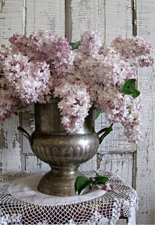 Antique Lilacs Greeting Card
