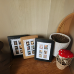 Greeting Card Window Boxes