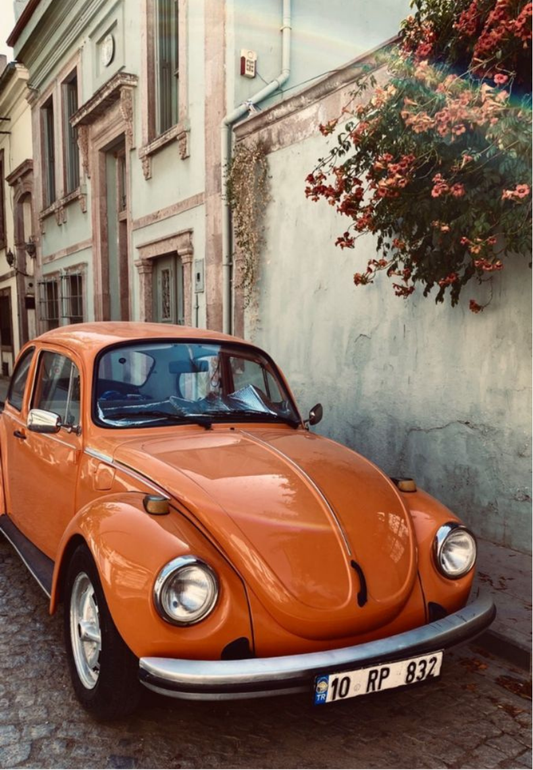 Classic Orange Beetle Greeting Card