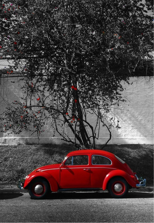 Red Beetle Greeting Card