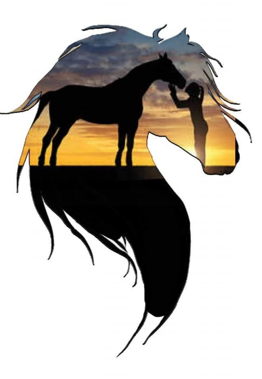 Sunset Silhouette Horse & Rider Greeting Card